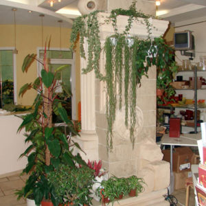 Салон-магазин цветов