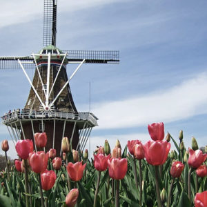 разрешение на строительство дома в Голландии